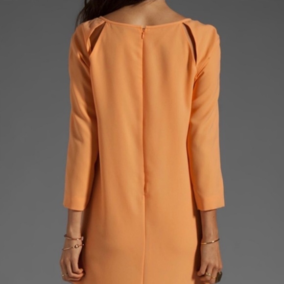 Tibi Alison Peek a Boo Shift Dress - Picture 4 of 12